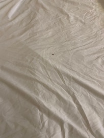 stained sheet - note the check-in information indicated we would be charged if we stained the sheets.