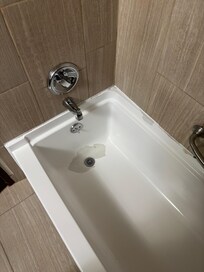 Tubs worn and yes that is an insect