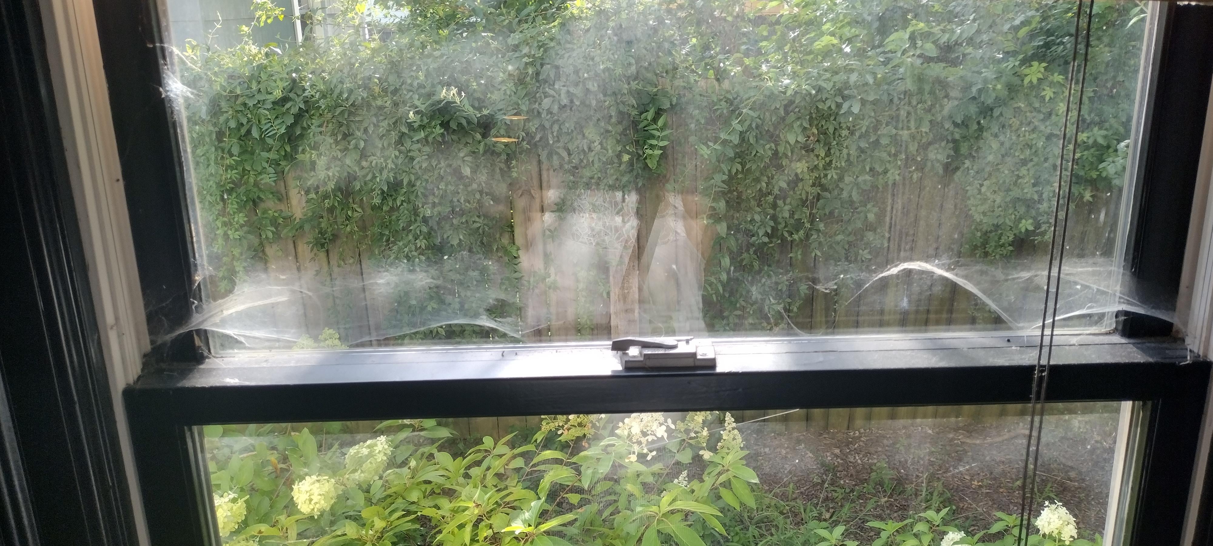 Those cobwebs are on the INSIDE of that window because no one bothered to check if it was actually locked!