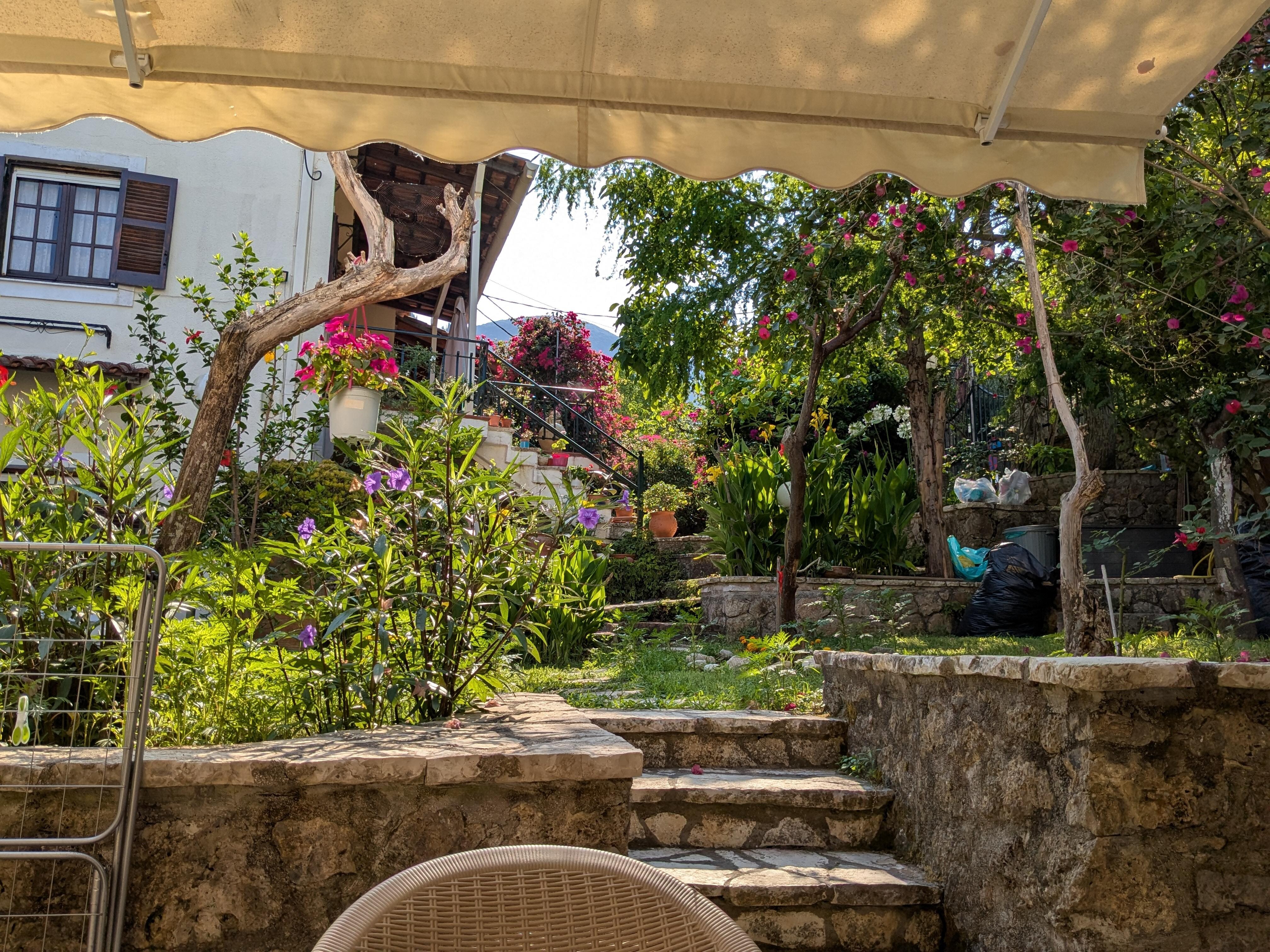 View of the garden from the patio.