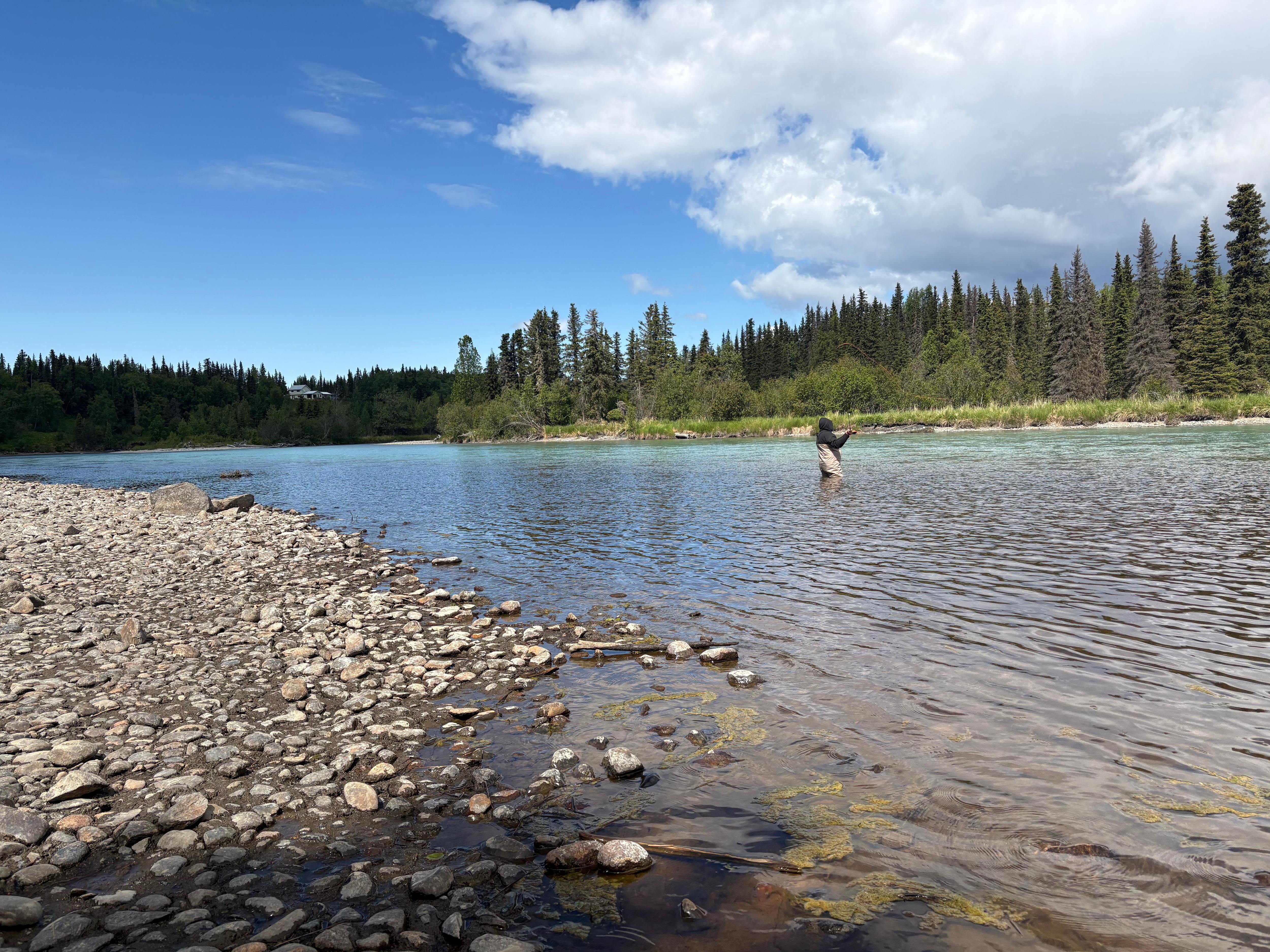 Kasilof River