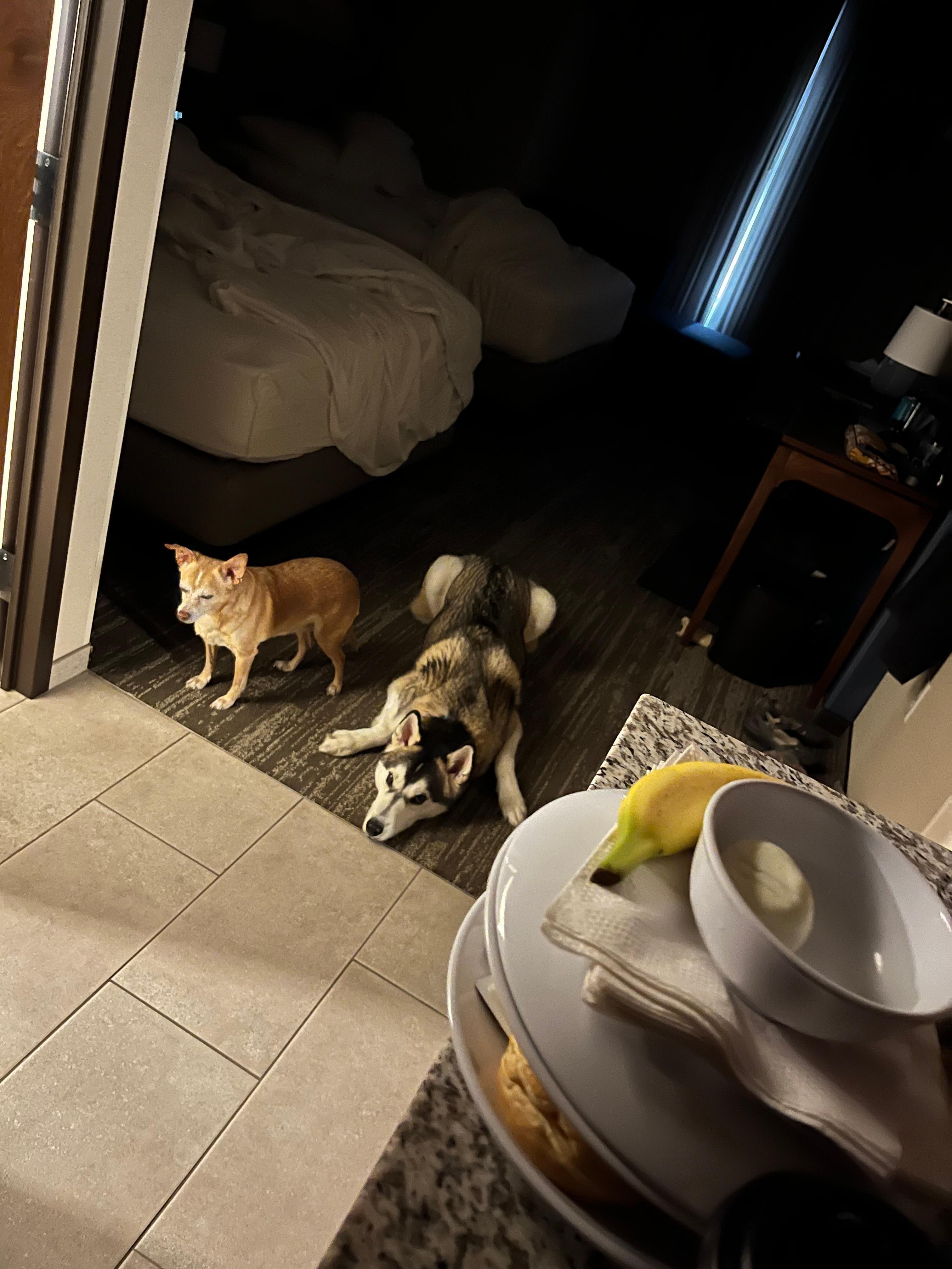 Why do we have to stay while you go to breakfast?