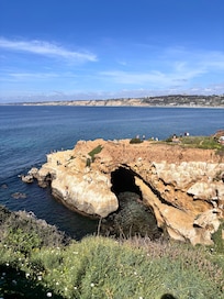 La Jolla Cove area