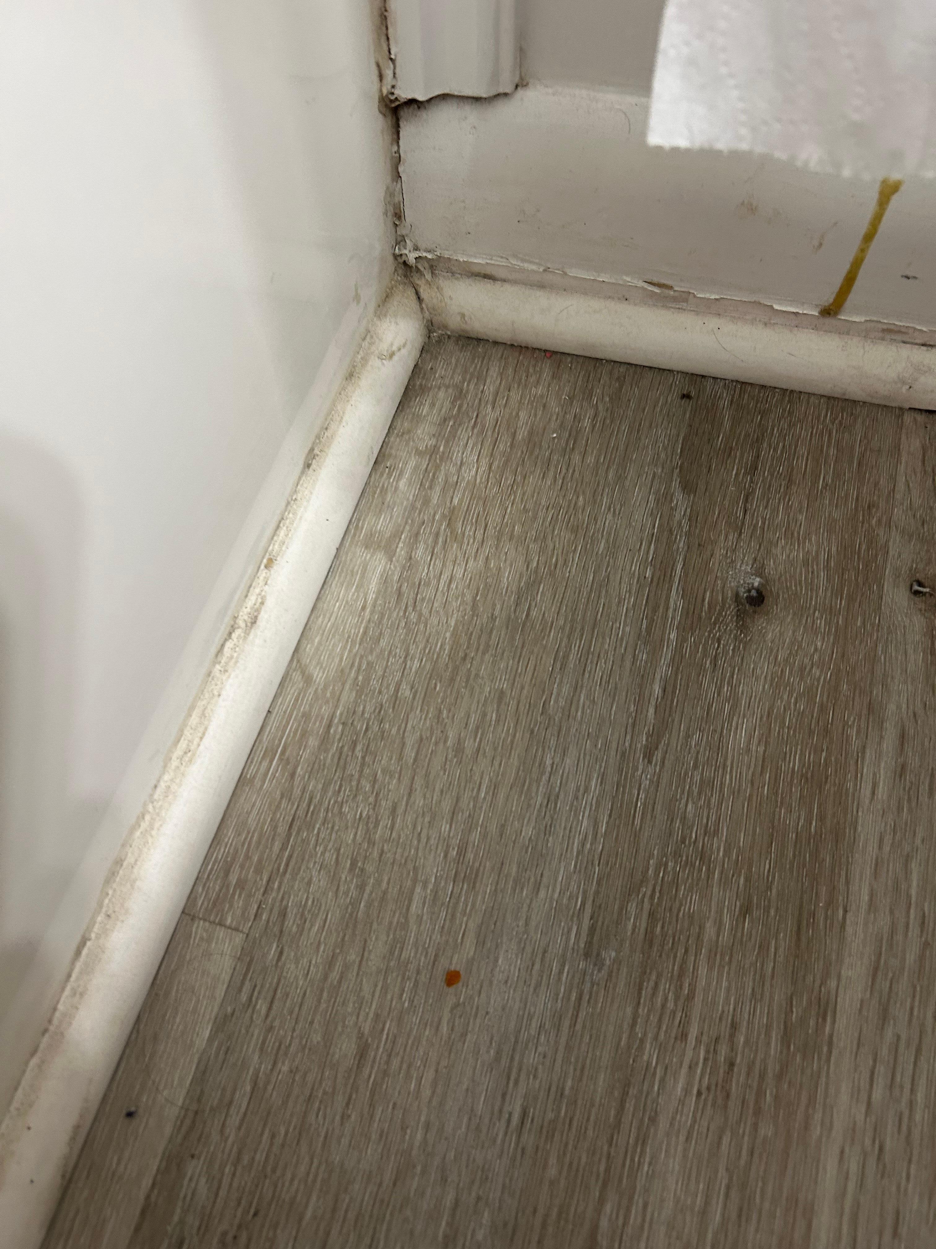 dirt and grime along baseboard in &quot;master&quot; bathroom