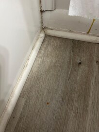 dirt and grime along baseboard in "master" bathroom
