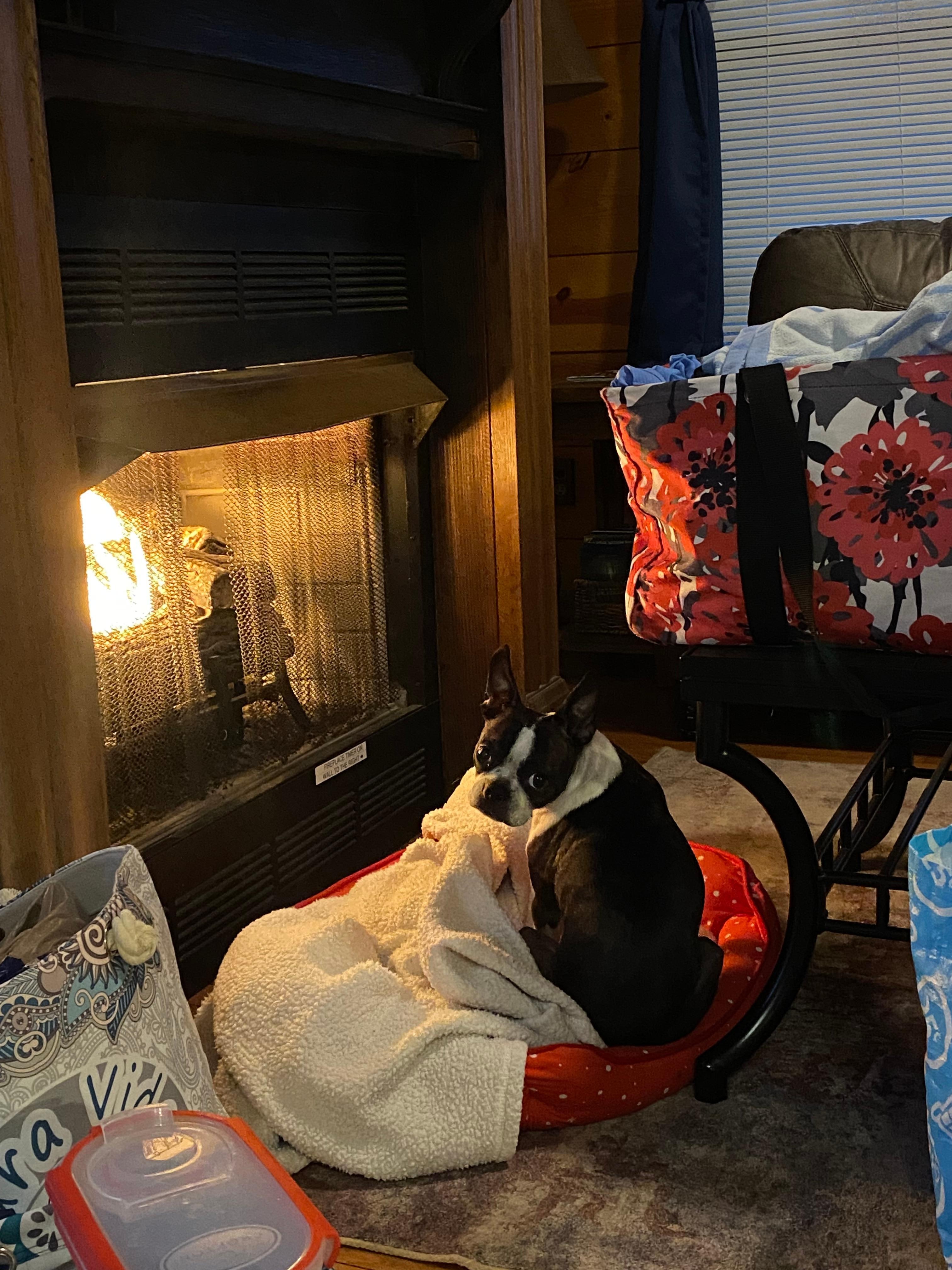 Favorite spot for our Boston Terrior—in front of the fire place.