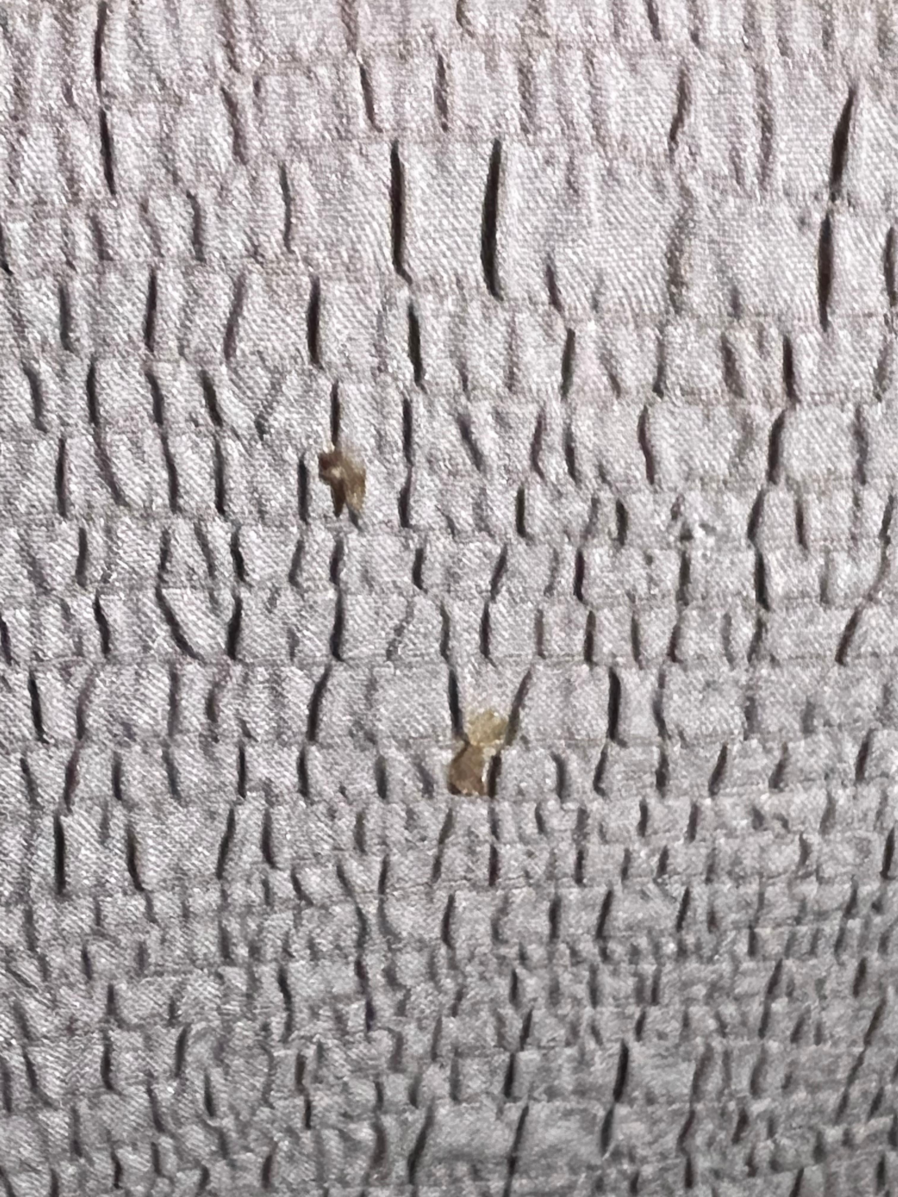 Boogers on duvet cover!!