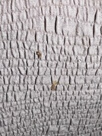 Boogers on duvet cover!!