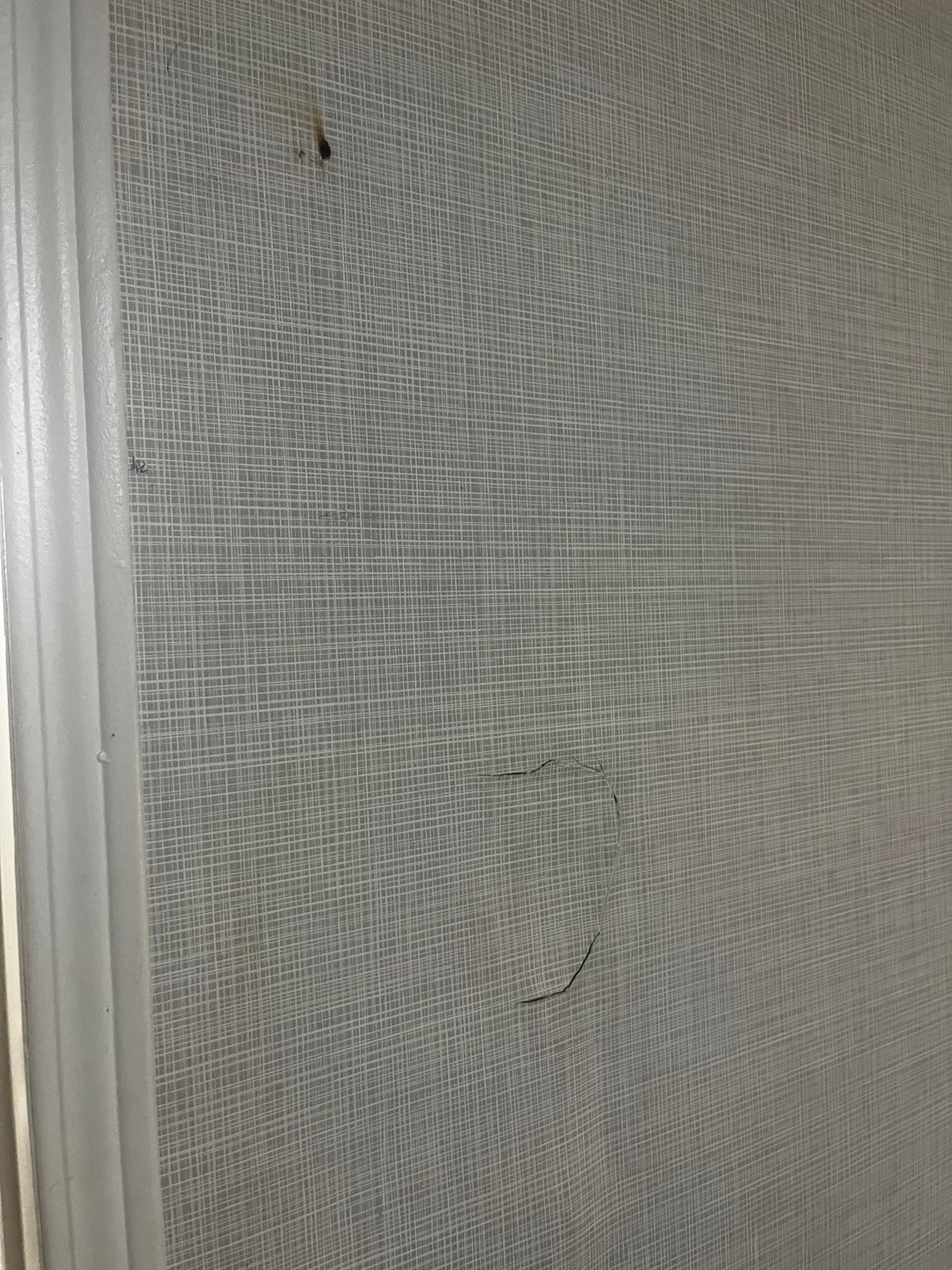 Display of previously upset occupant  