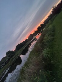 Backyard at sunset.
