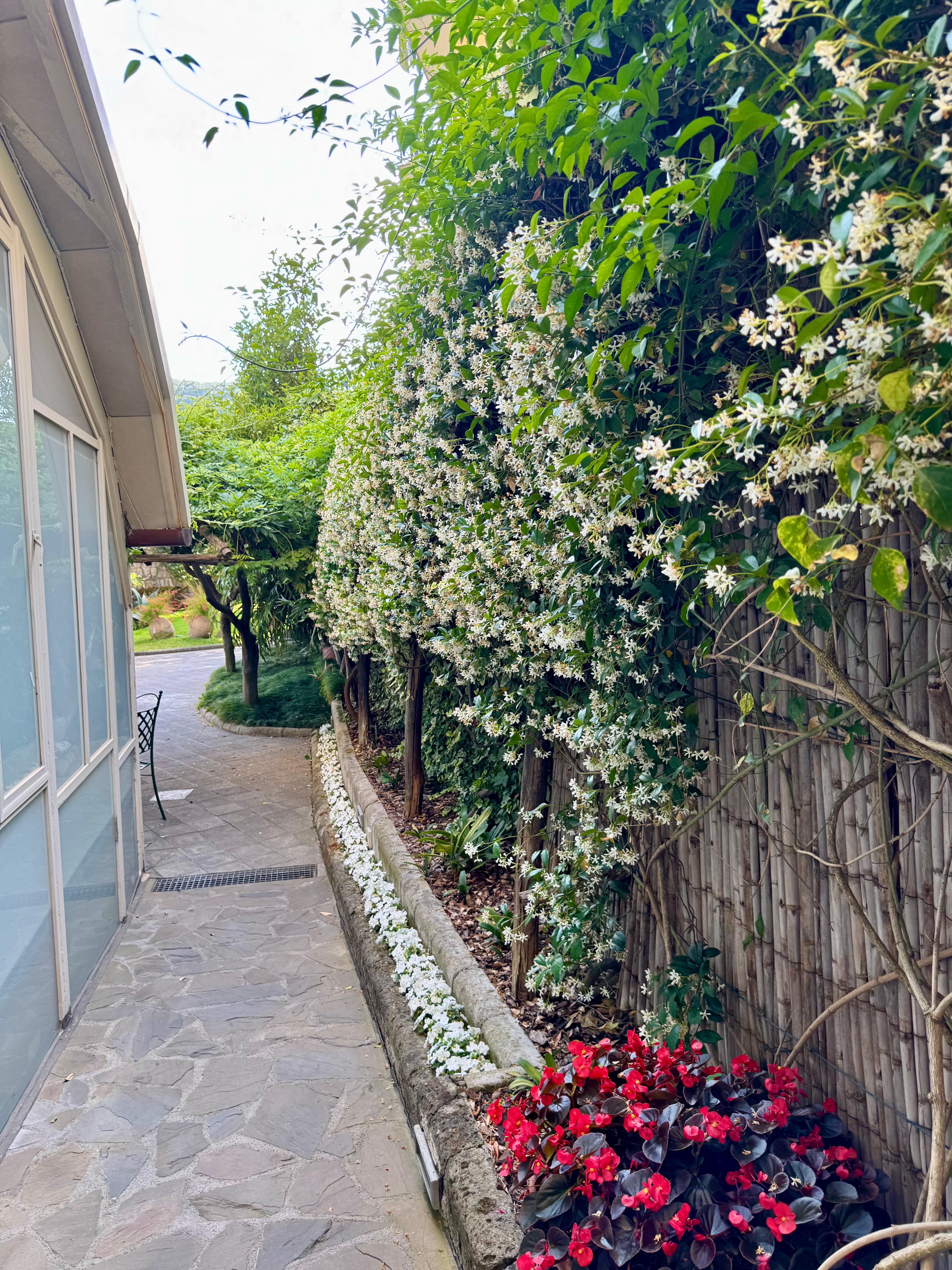 Ahh! The sweet scent of jasmine.