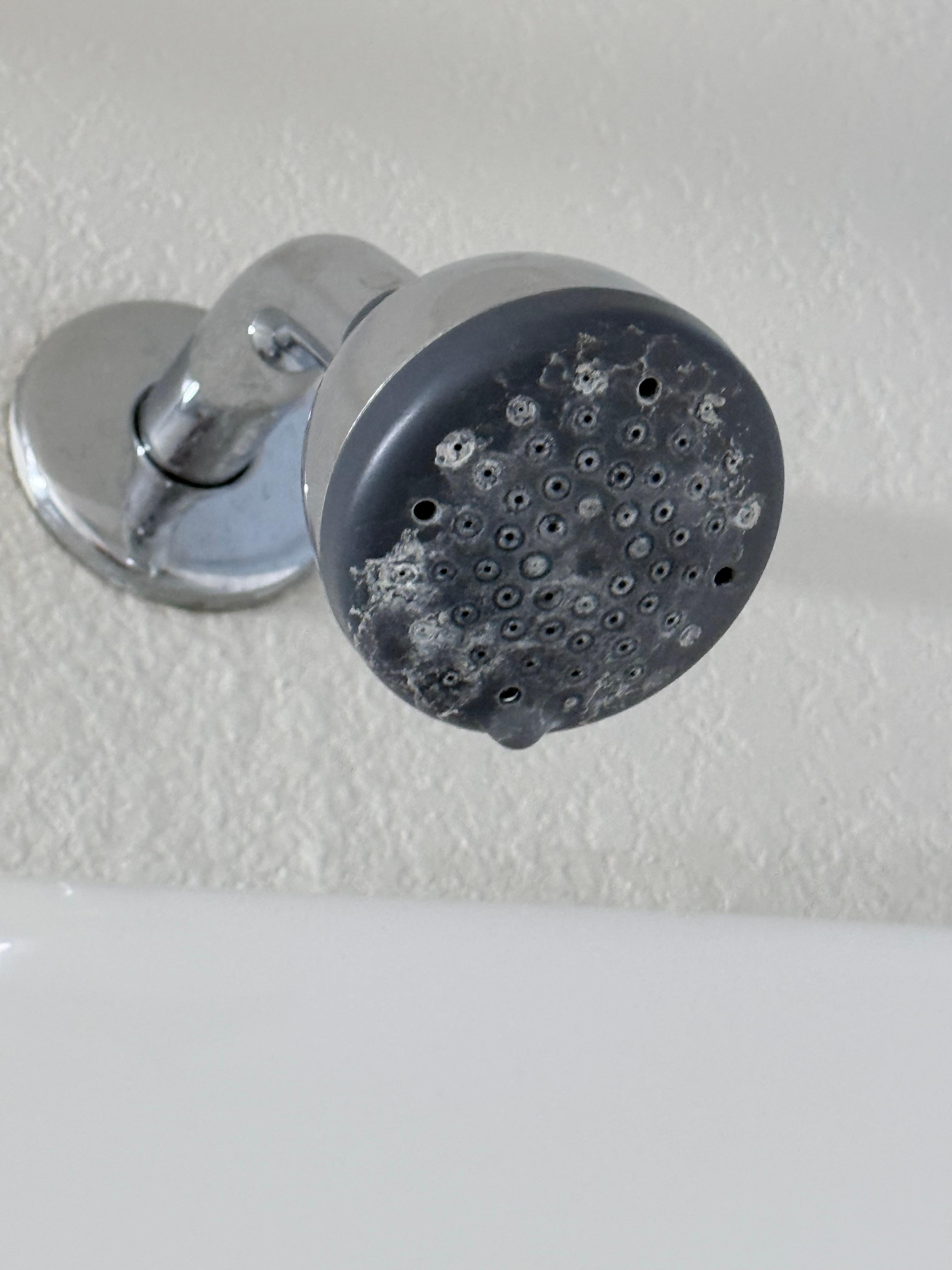 Lack of cleaning of the bathroom fixtures.