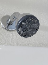 Lack of cleaning of the bathroom fixtures.