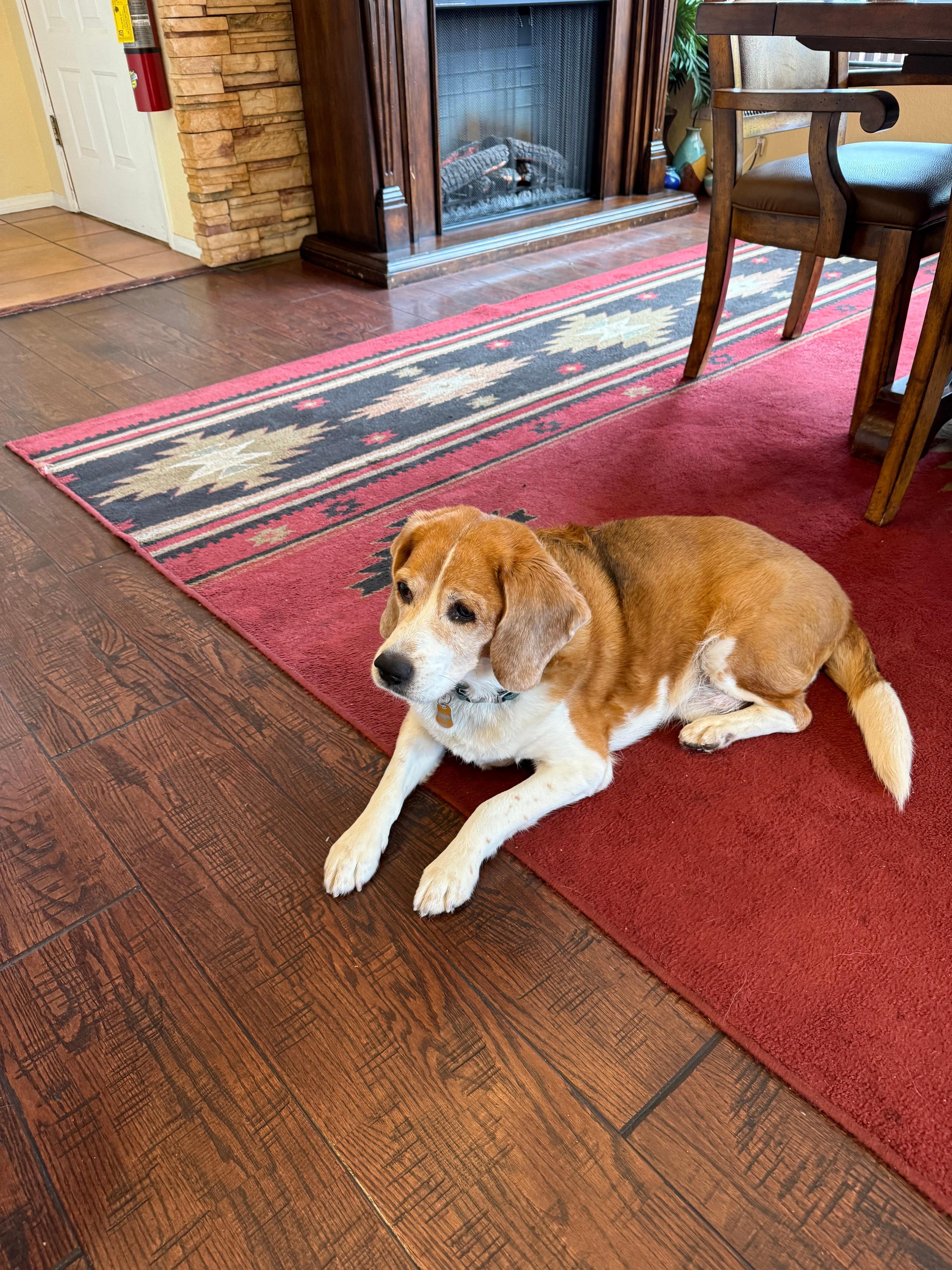 Our greeter for the breakfast 