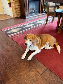 Our greeter for the breakfast