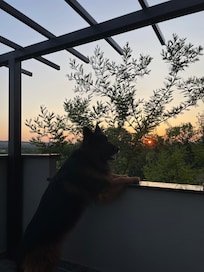 Auf der Terrasse jeden Abend ein wunderschöner Sonnenuntergang