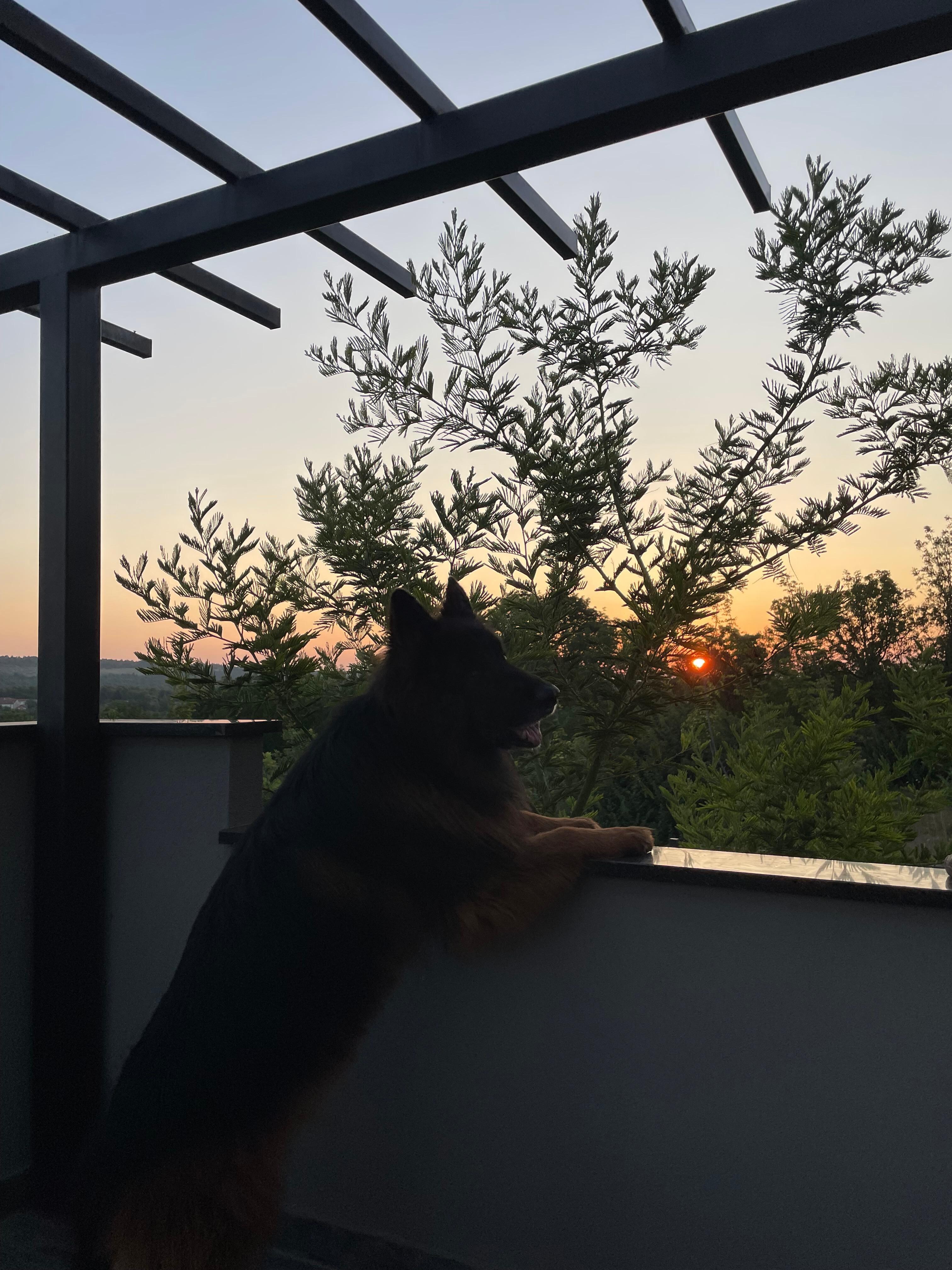 Auf der Terrasse jeden Abend ein wunderschöner Sonnenuntergang 