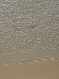 Mold on ceiling
