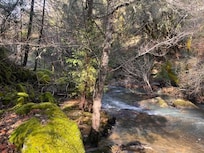 Little fishing holes all over!