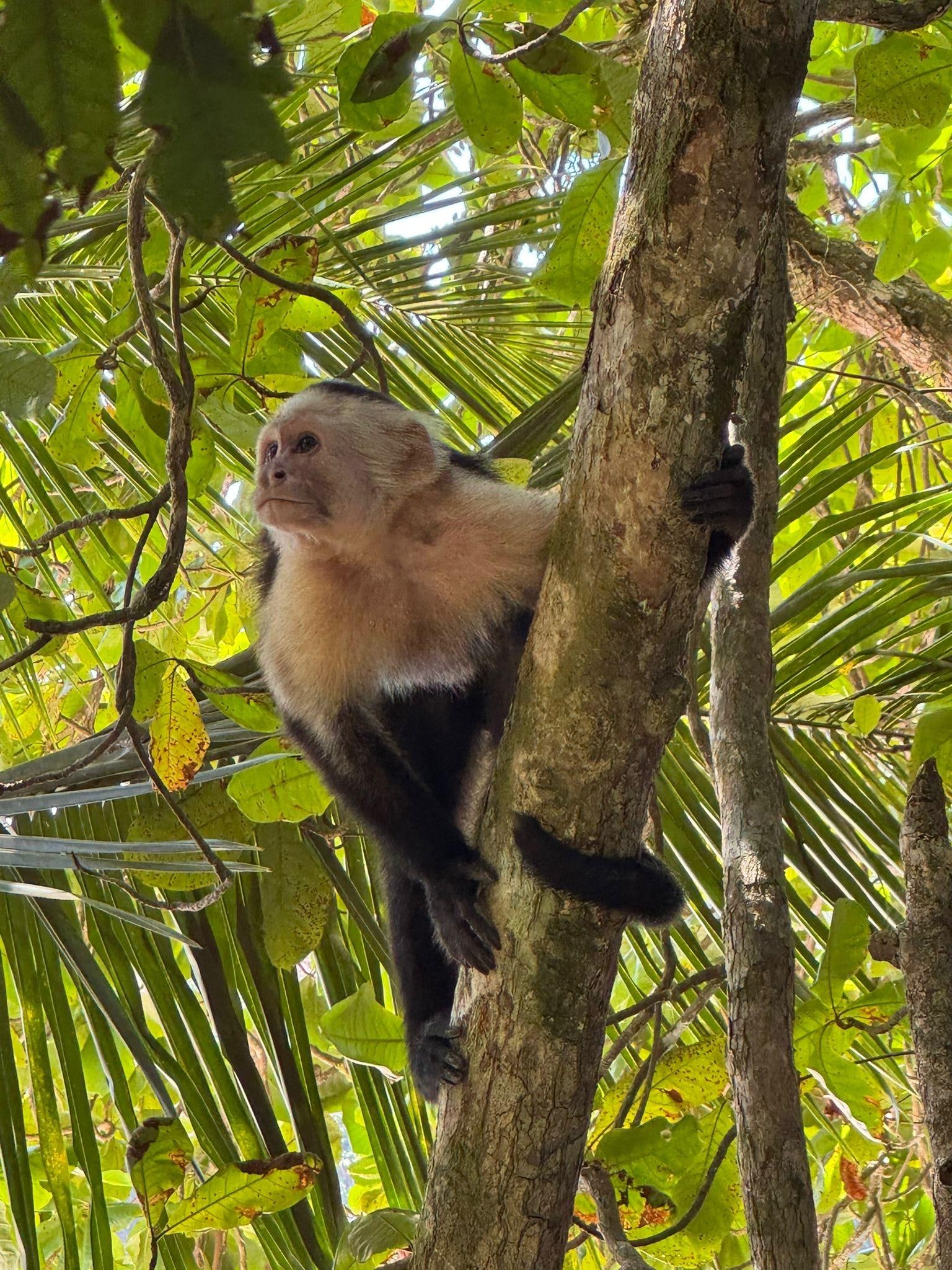 In the hotel grounds