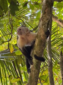 In the hotel grounds