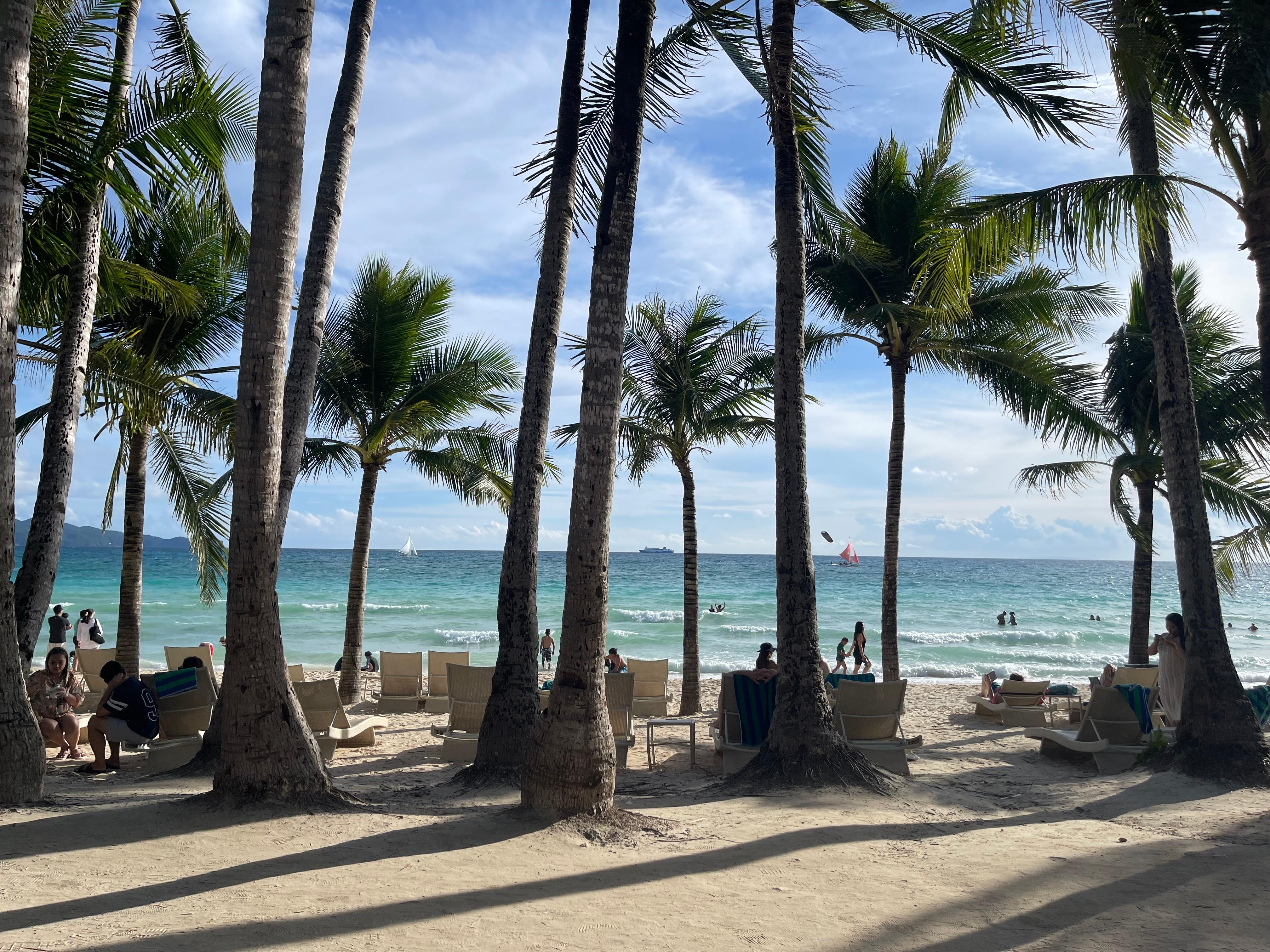 The view from the Palm restaurant