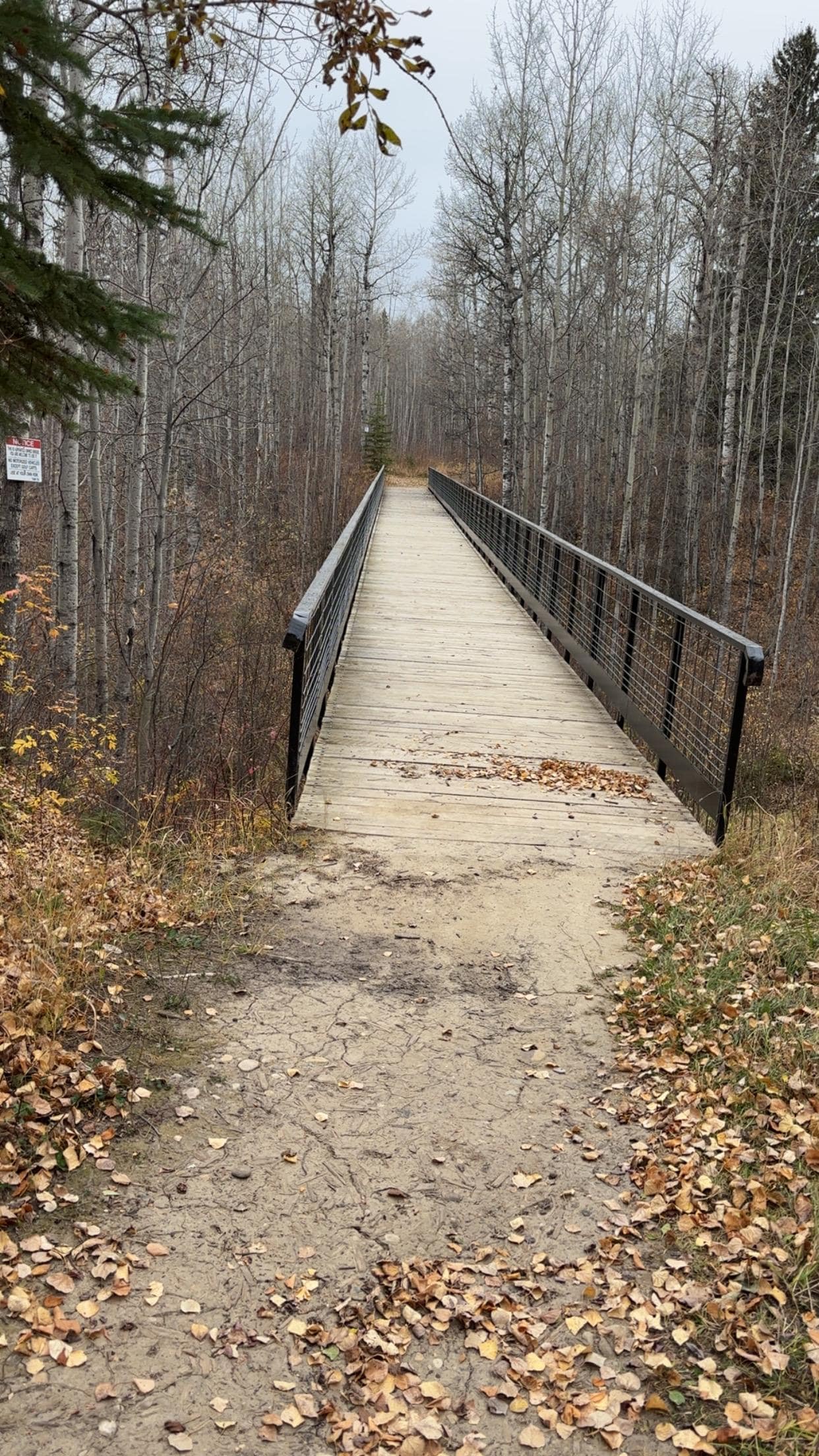 Bridge behind the Inn
