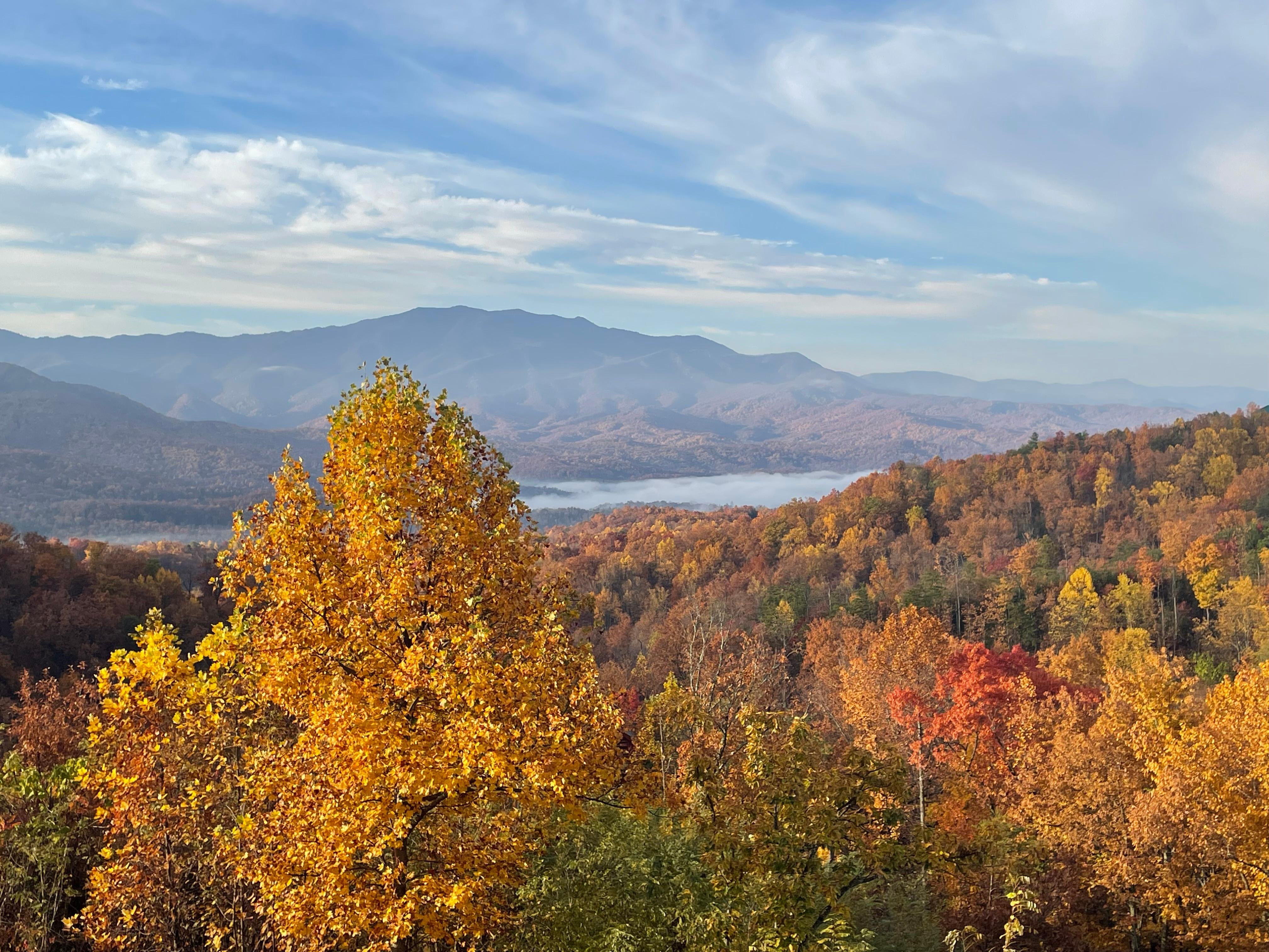 Views from the top deck
