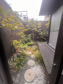 The garden.