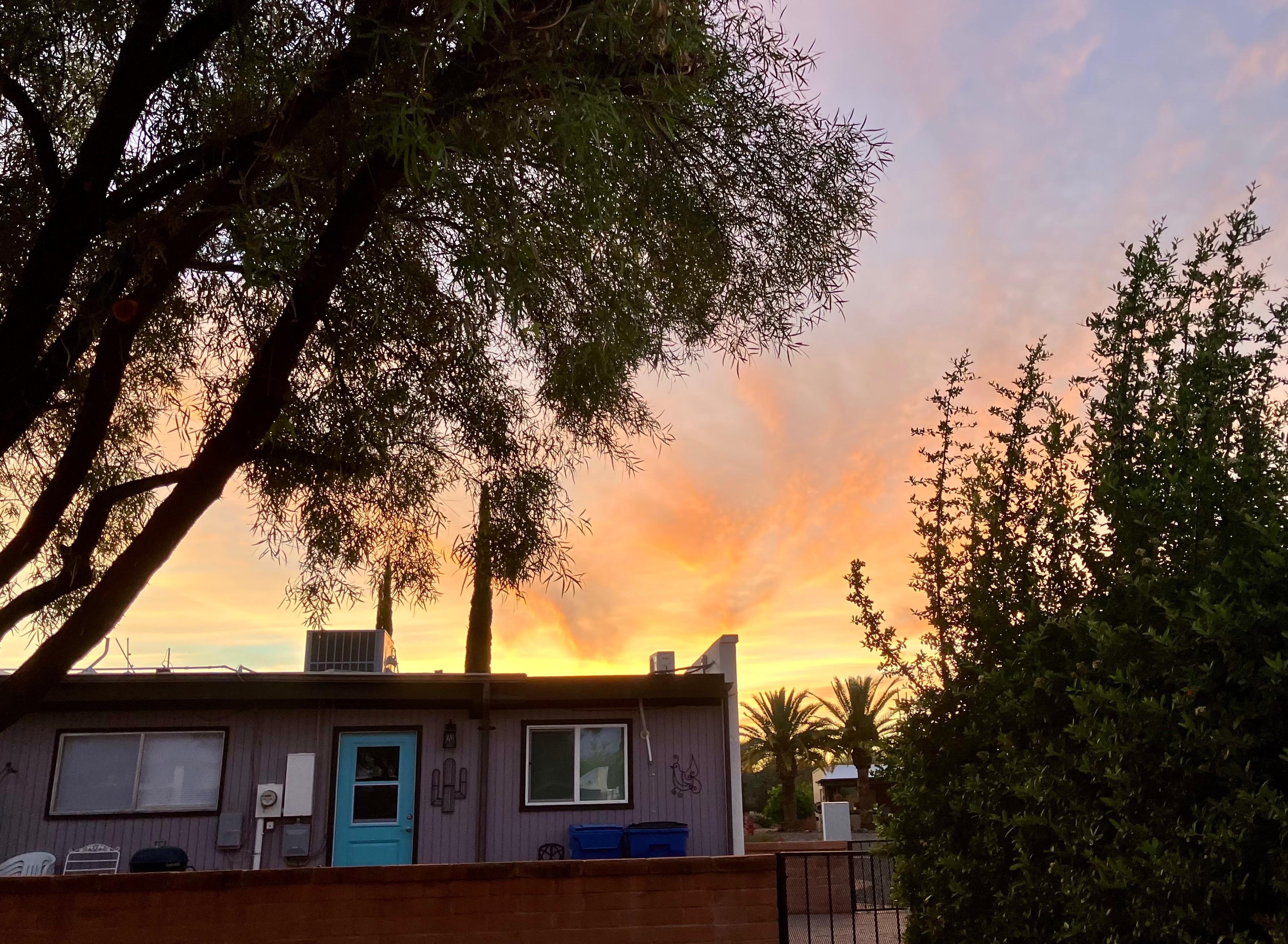 Back yard sunset