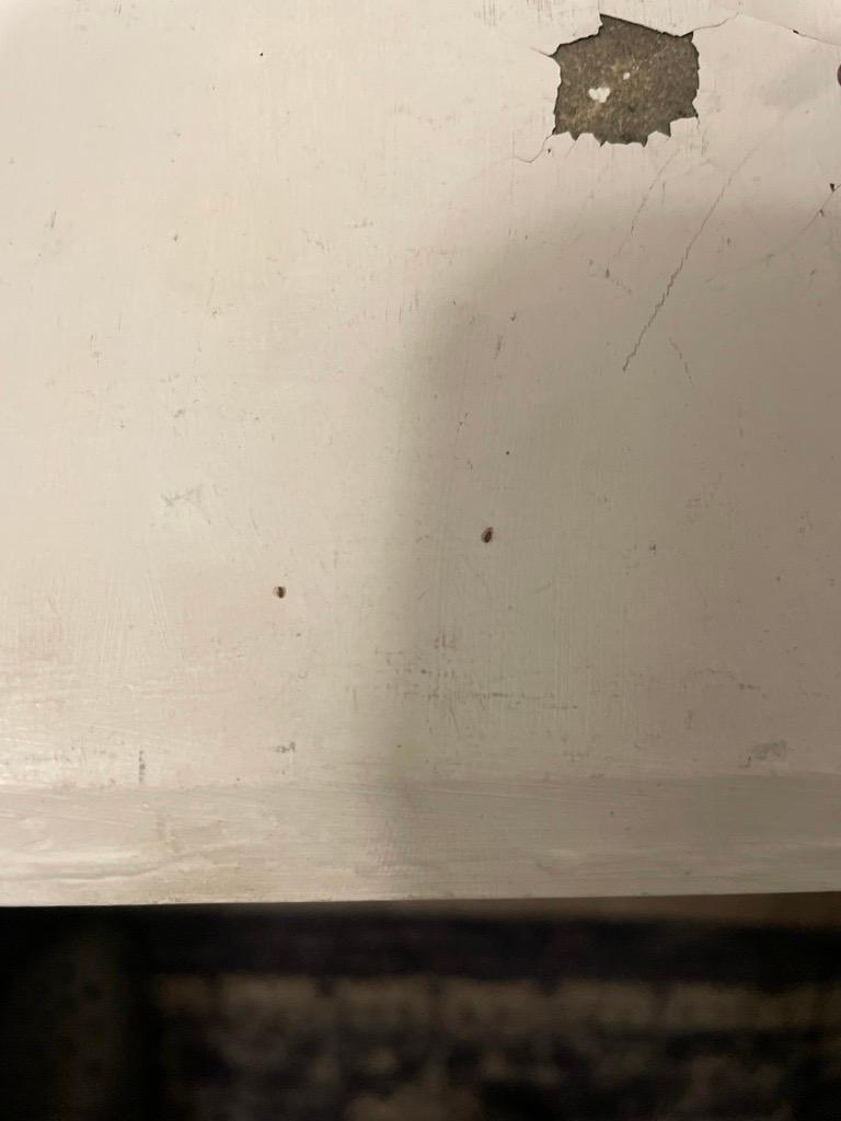 Bed Bugs