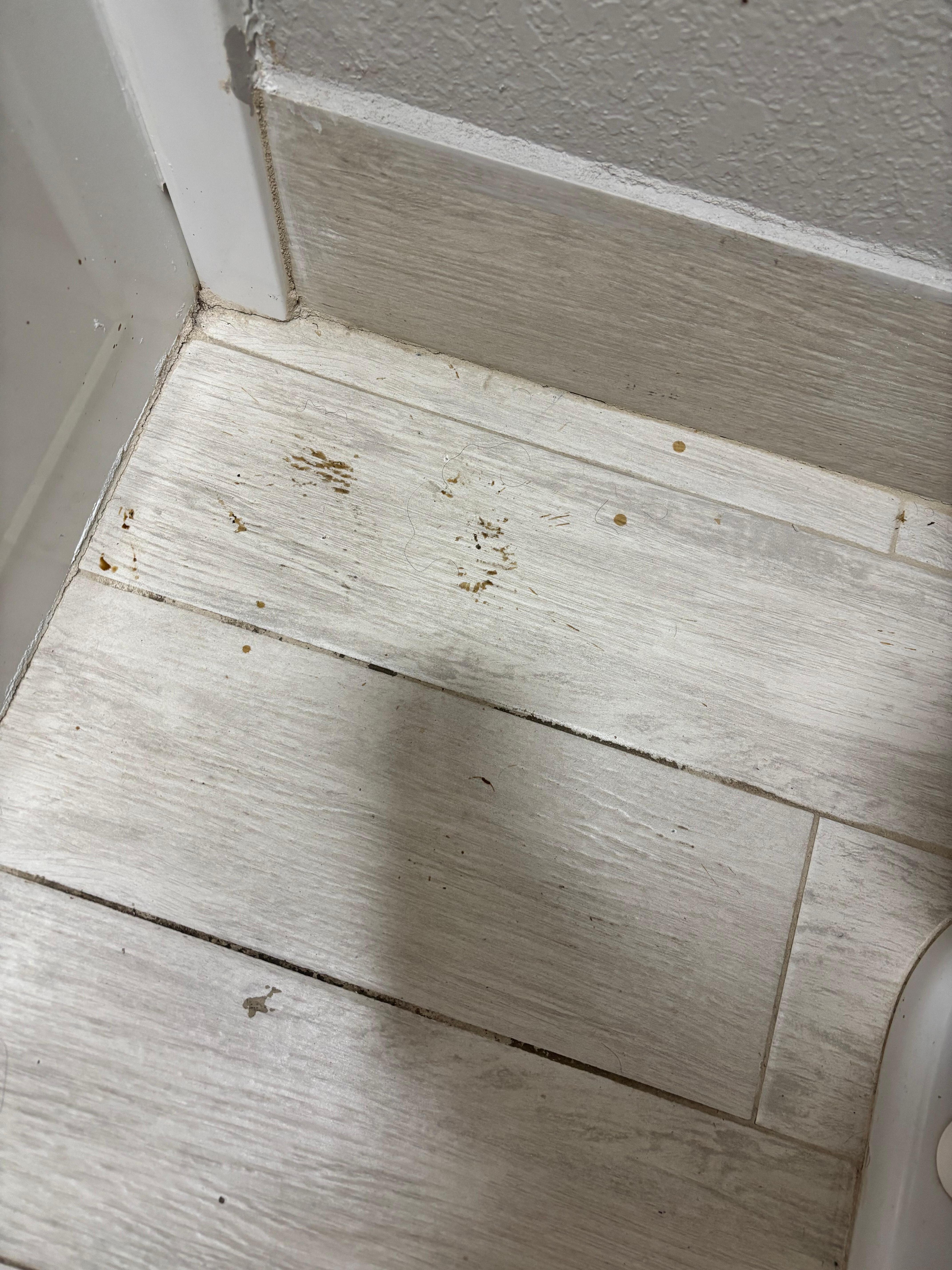 The stains that were in the bathroom