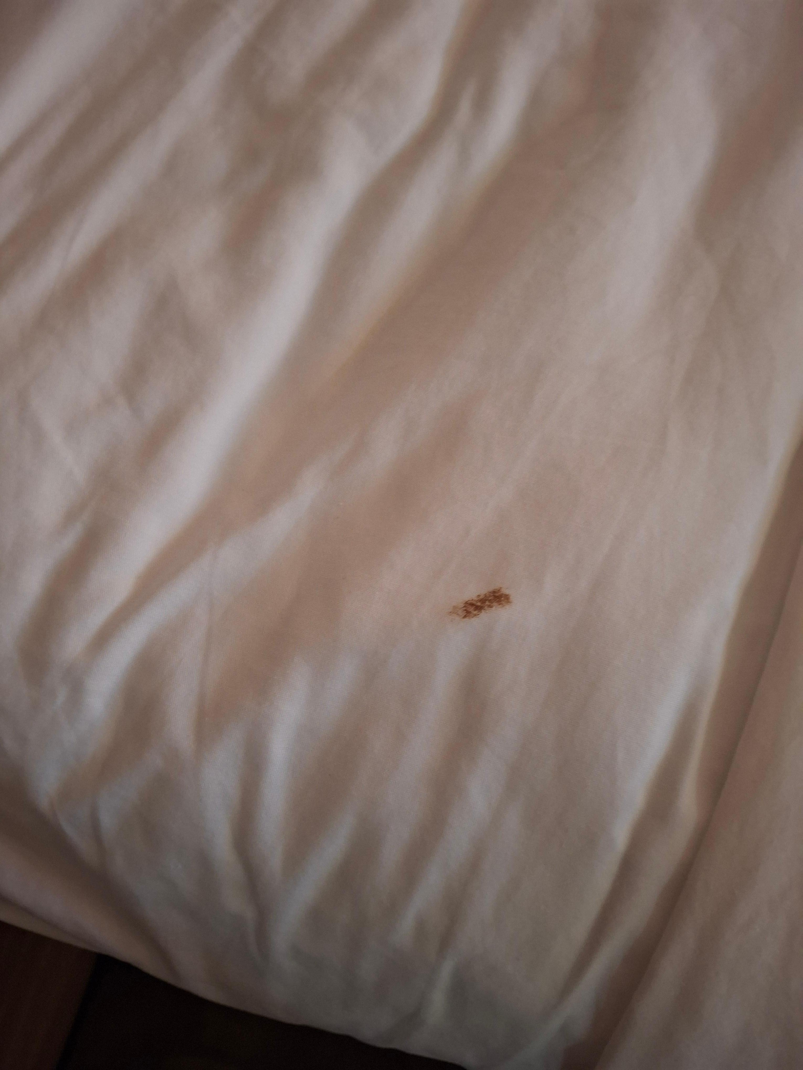 Stains on bedding