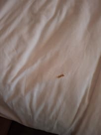 Stains on bedding