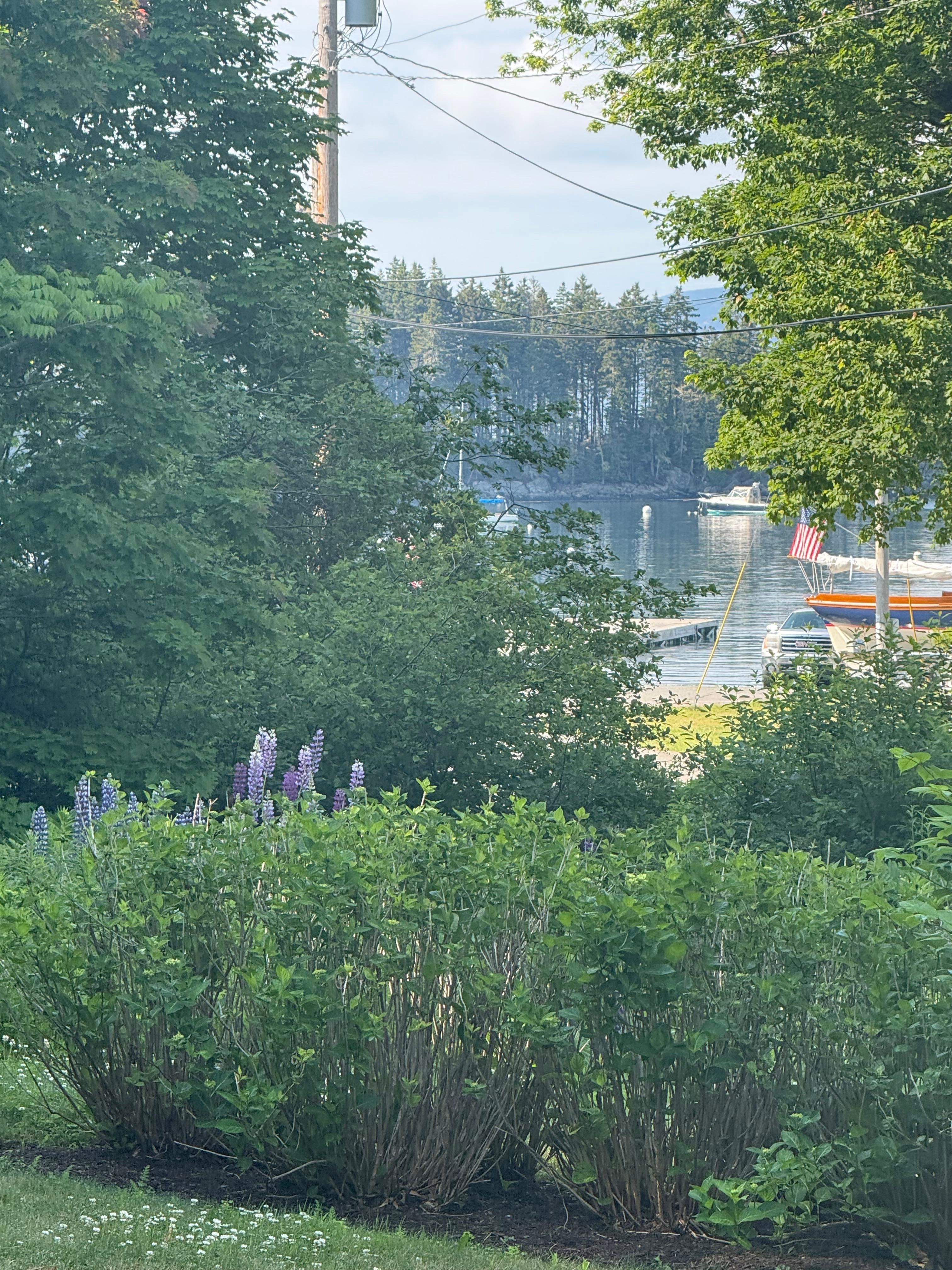 View of the harbor from the deck