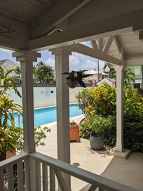 View from the patio