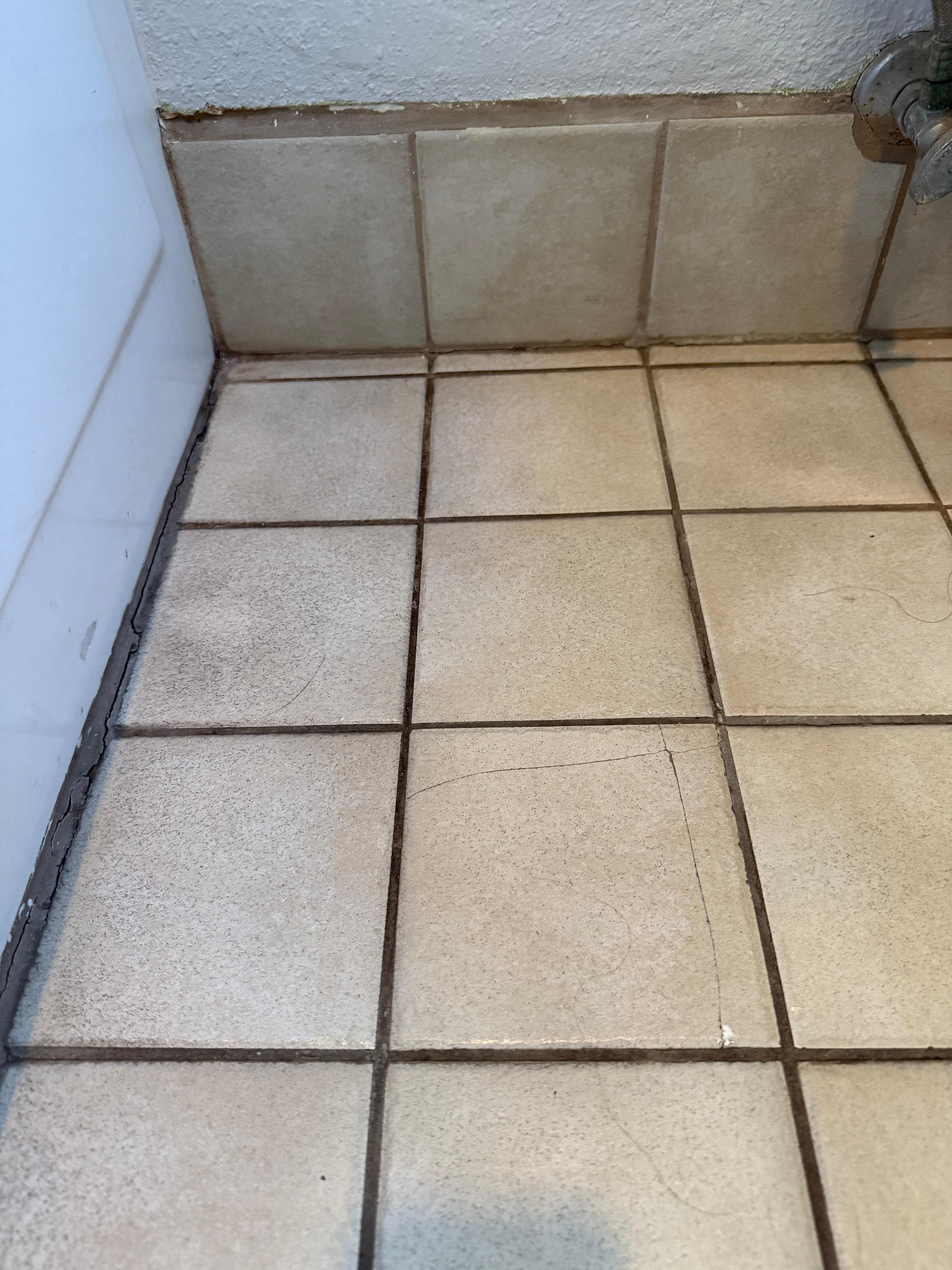 Dirty floor grout, wall shows the real grout color