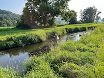 A fly fishing creek in a stunning setting!