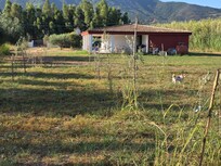 aus dem hinteren Garten (links in der Entfernung das Eingangstor)