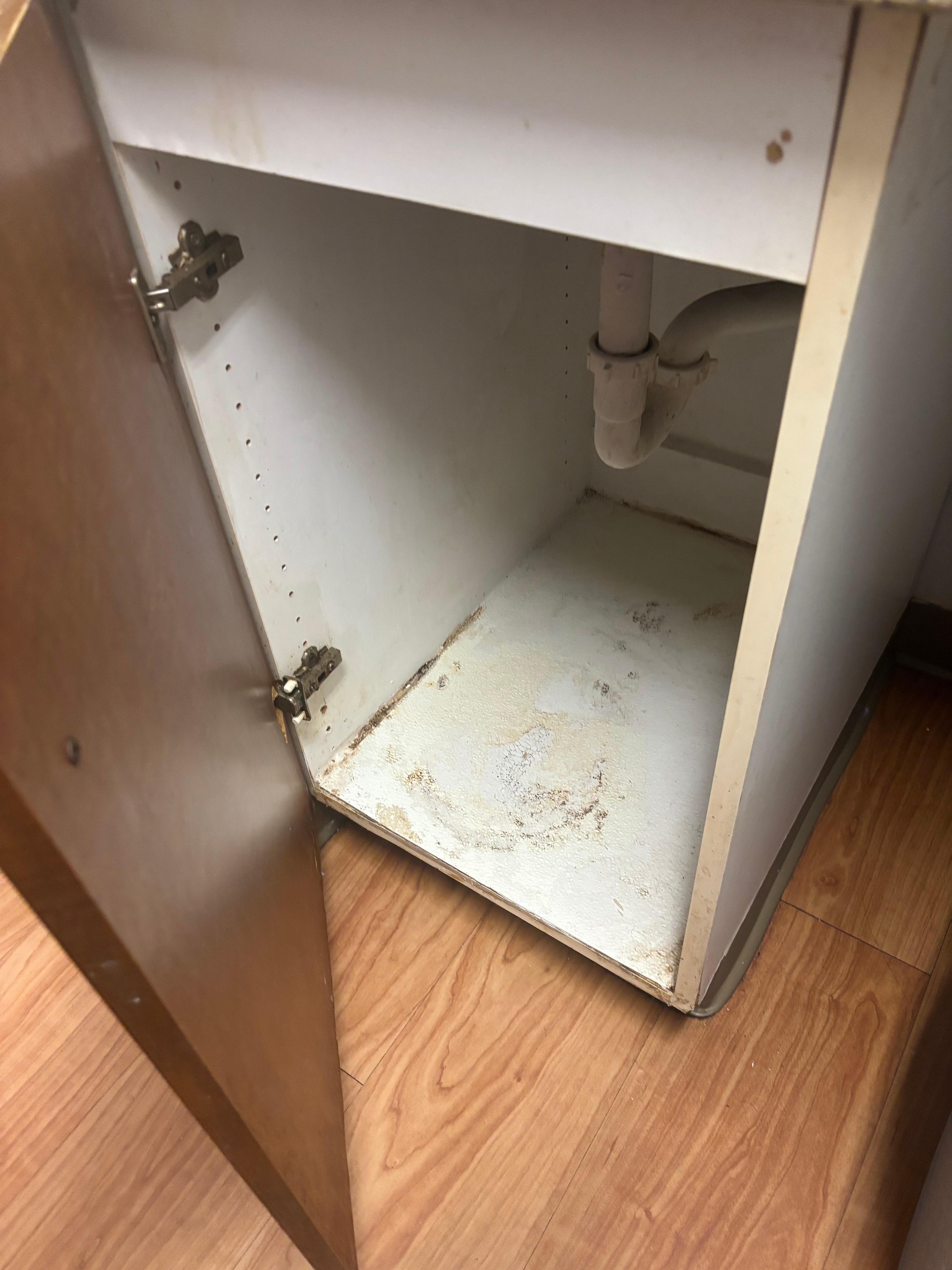 Cabinet nasty 