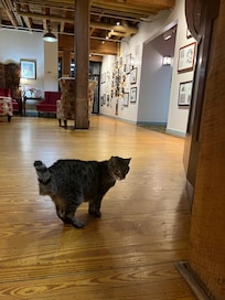 The welcoming committee!