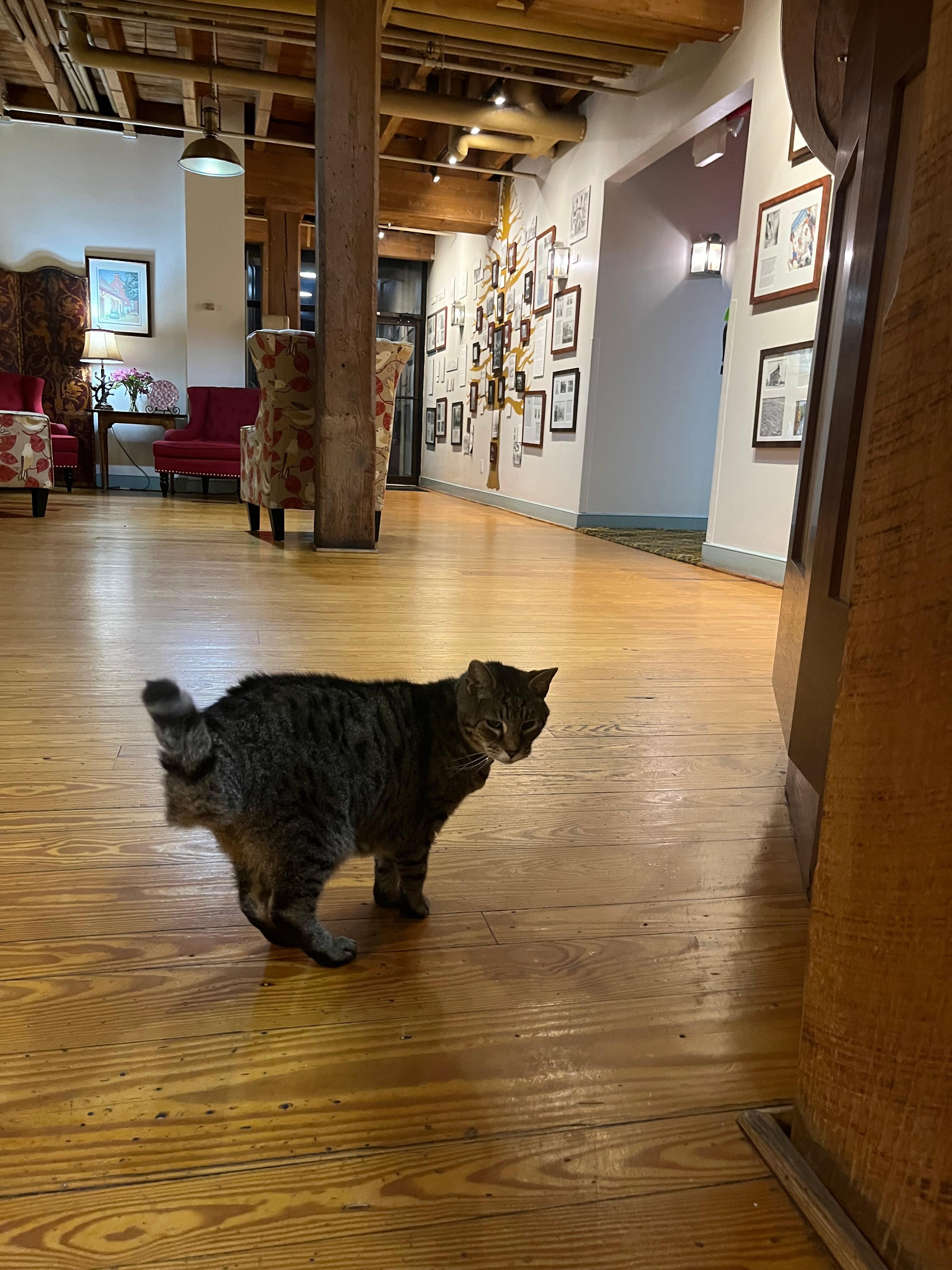 The welcoming committee!