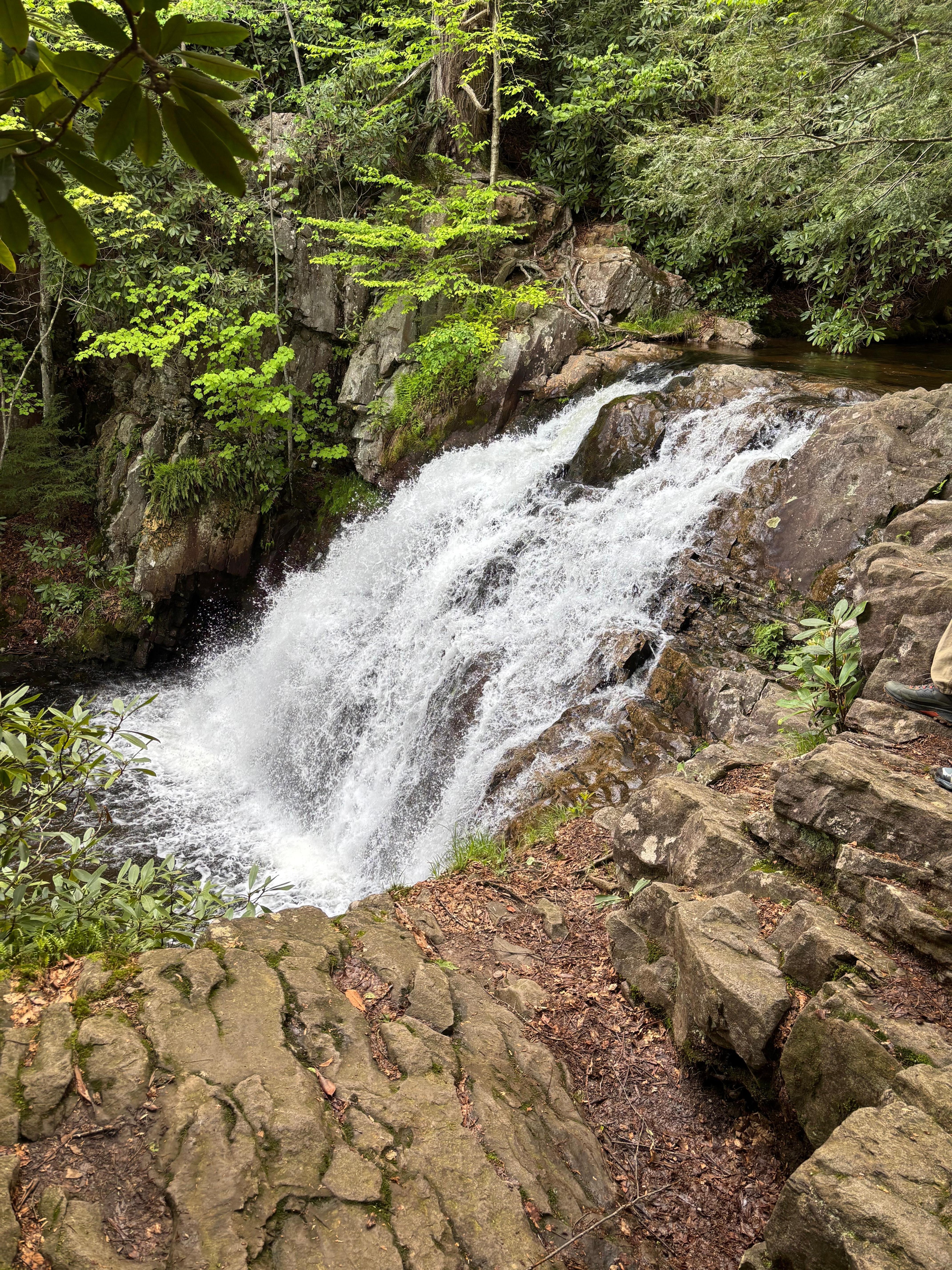 Hawk Falls 