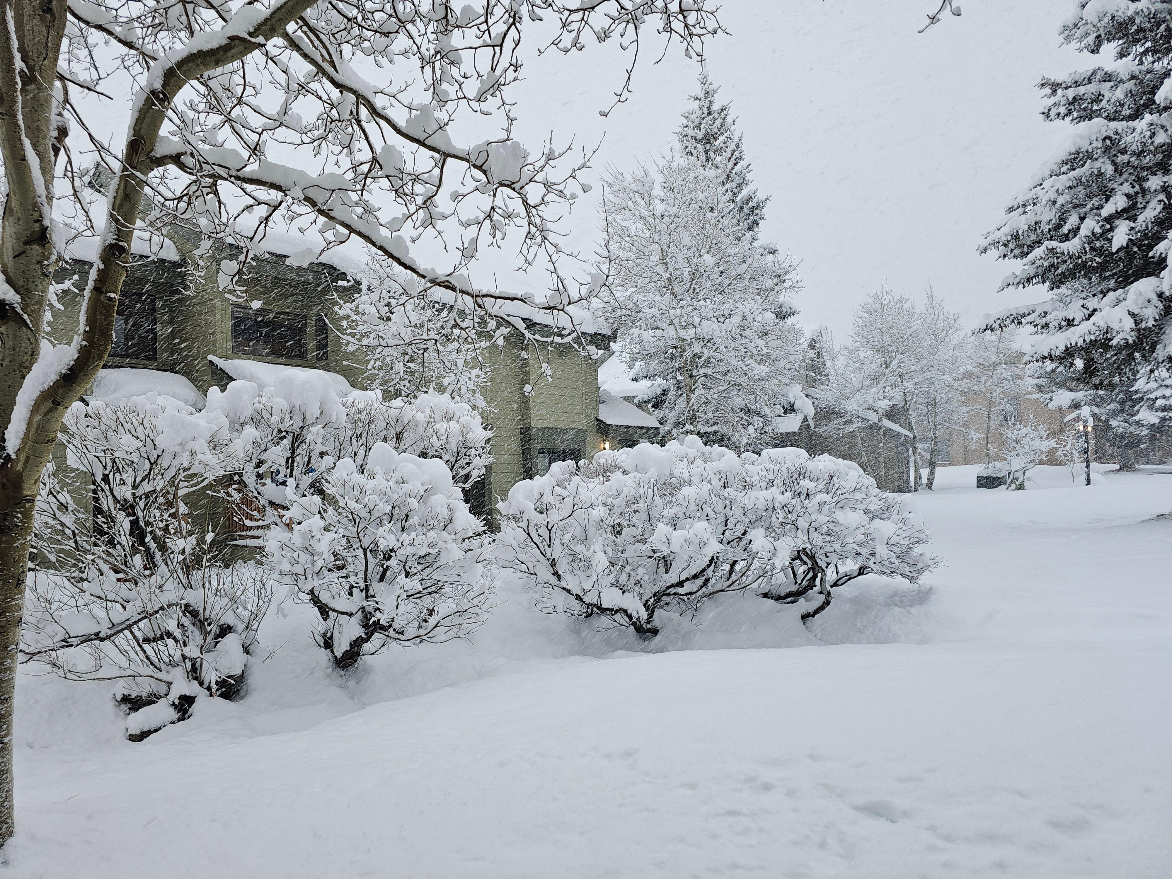 the view from the bedrooms