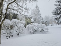 the view from the bedrooms