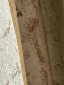 Mildew/mold under wallpaper