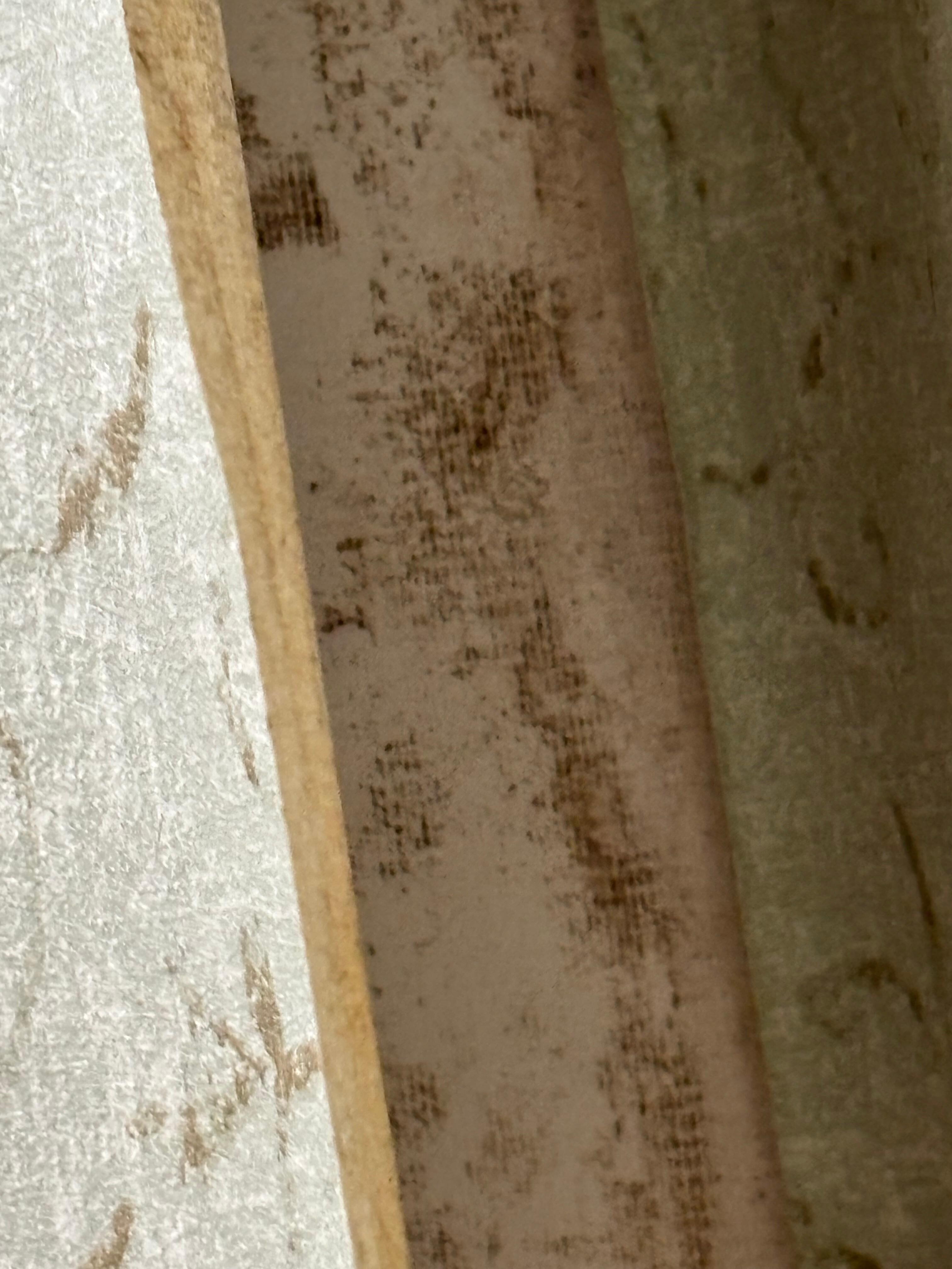Mildew/mold under wallpaper 