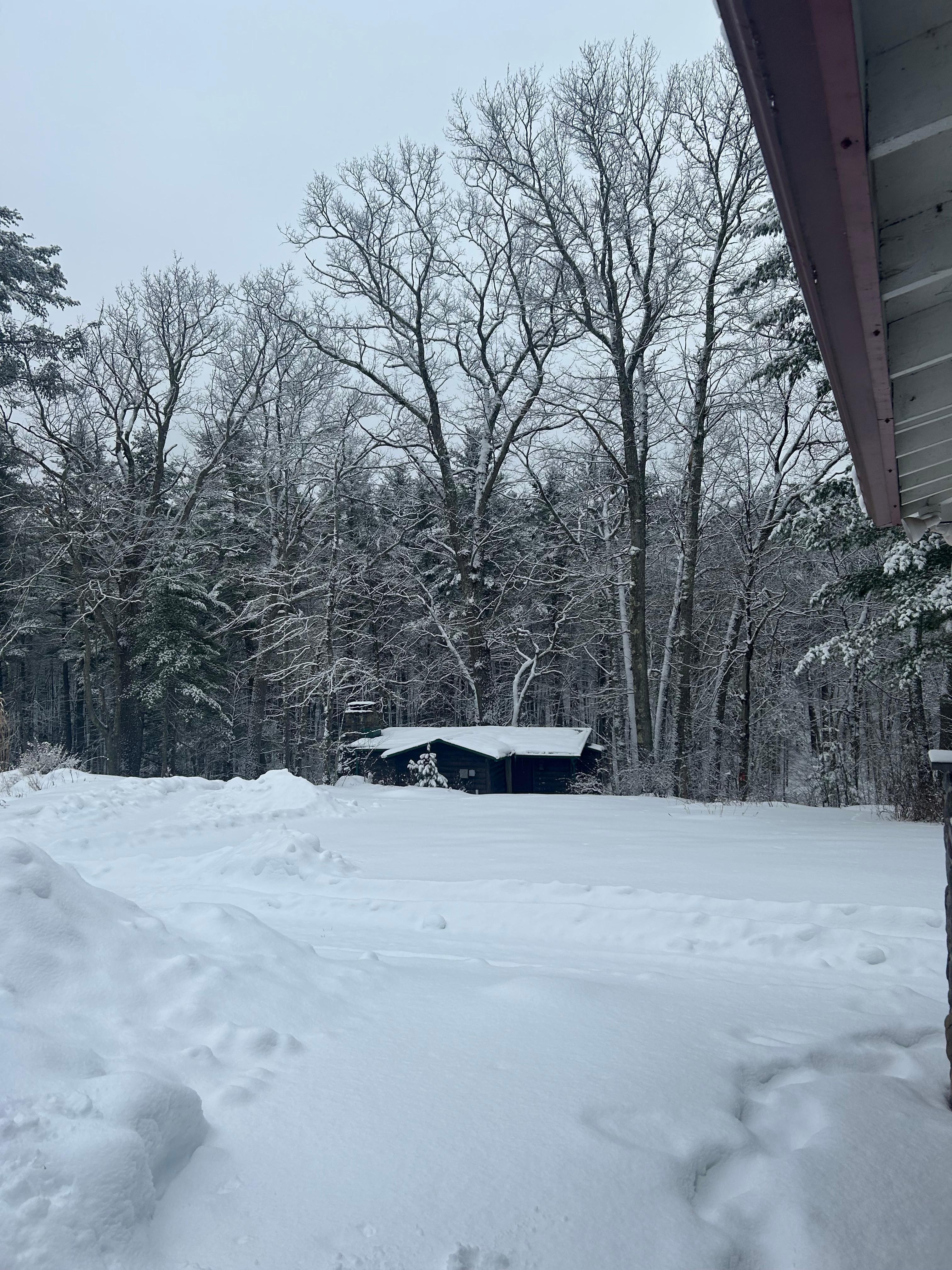 Morning after snow vey beautiful and love walking the trail