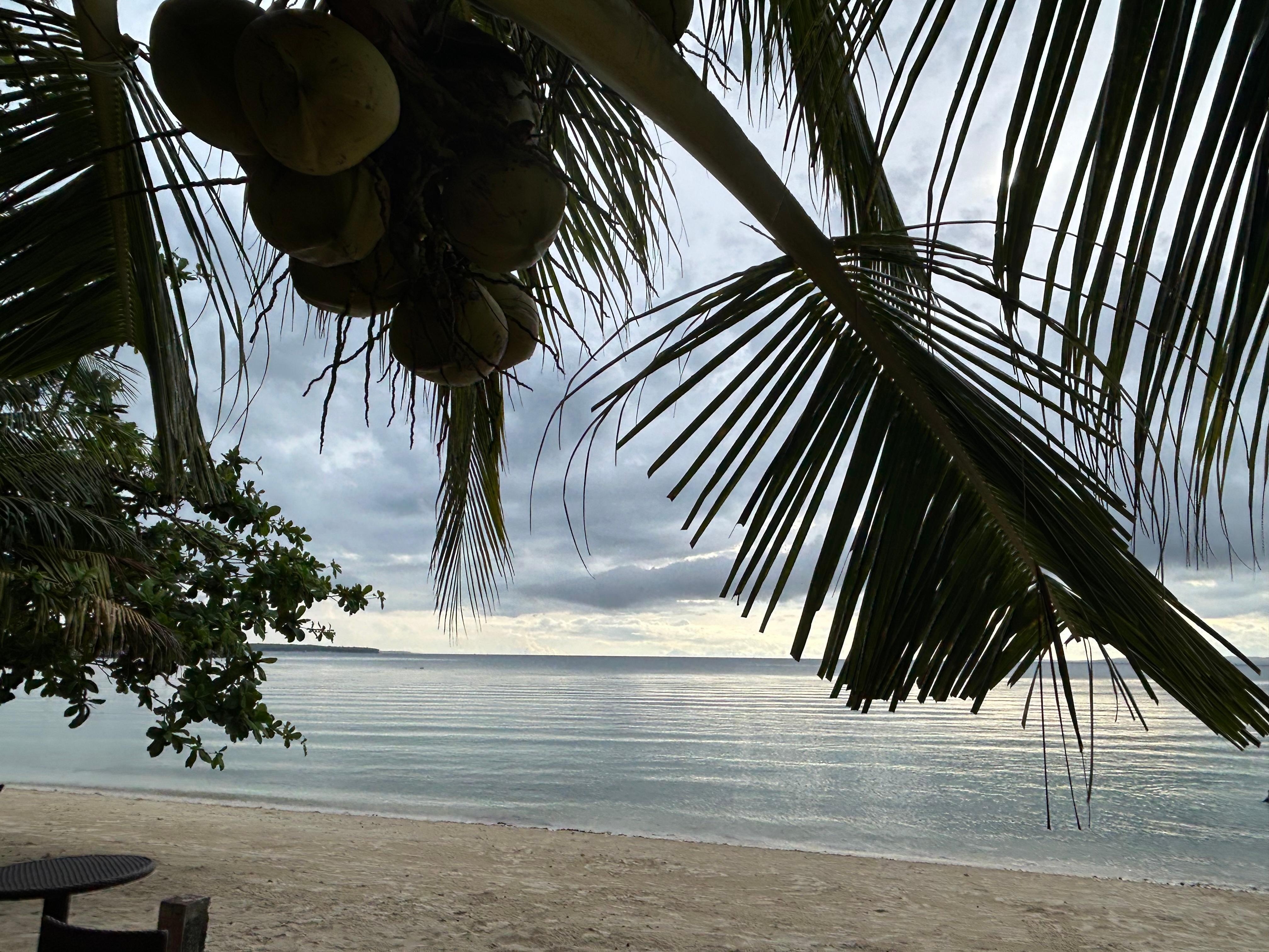 Sunrise view 