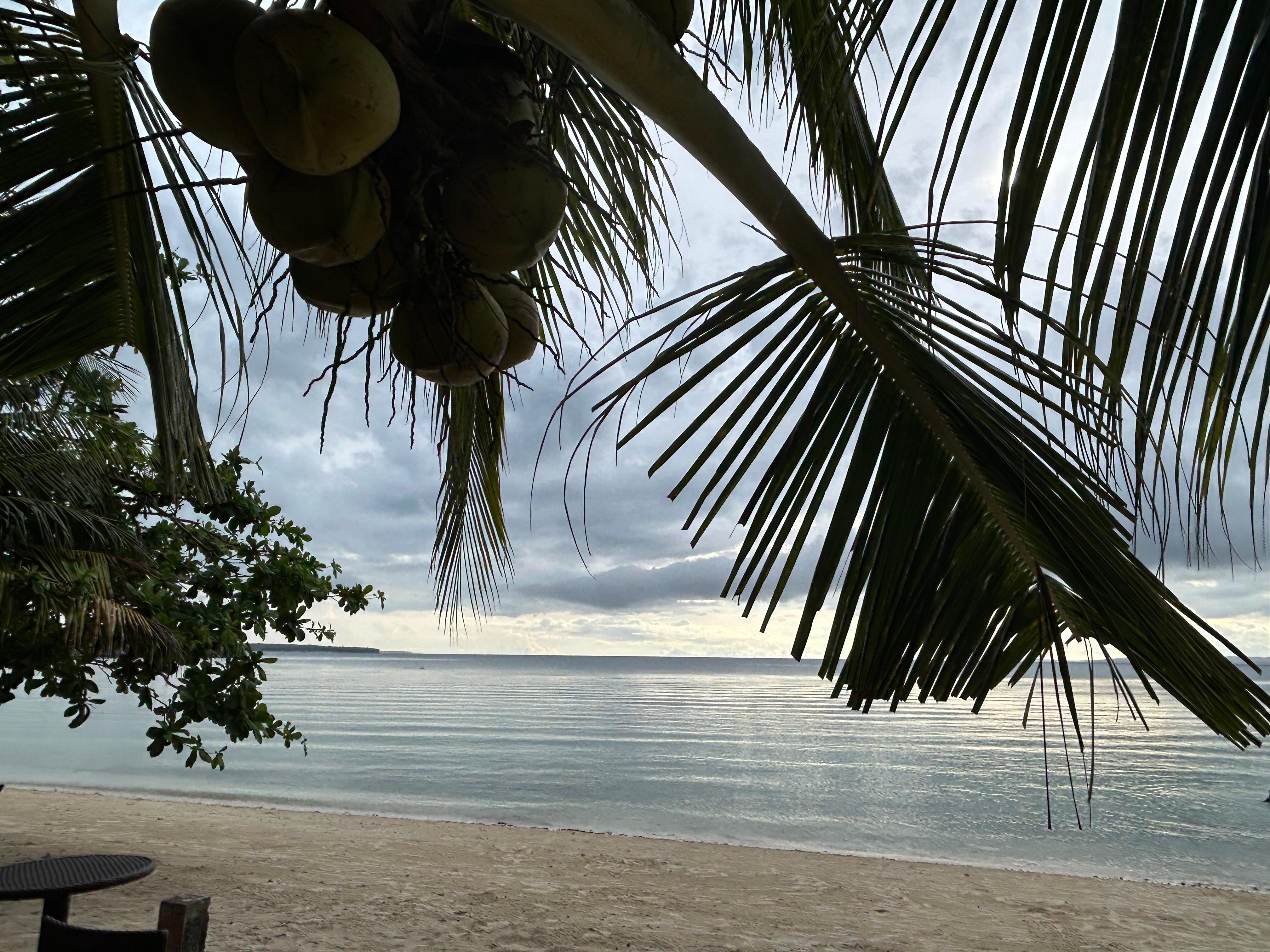 Sunrise view 